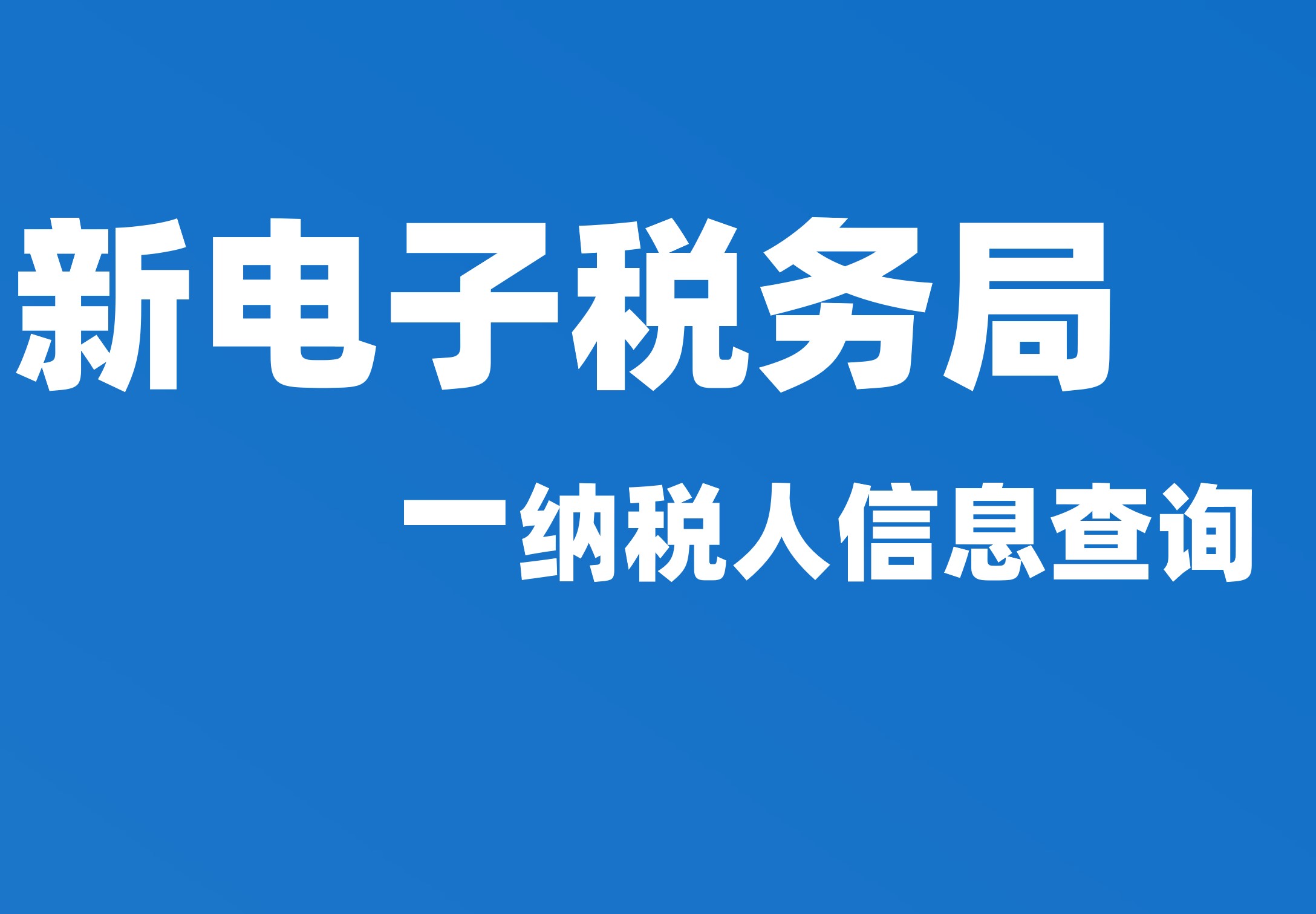 纳税人信息查询